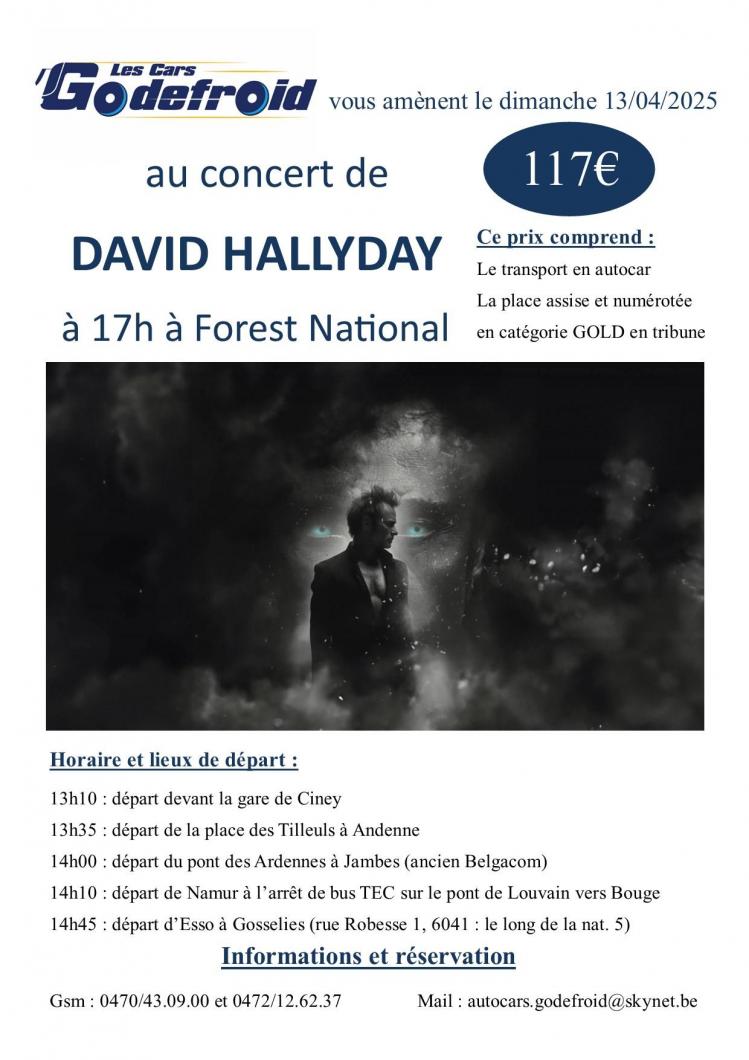 David hallyday concert 13 avril 2025