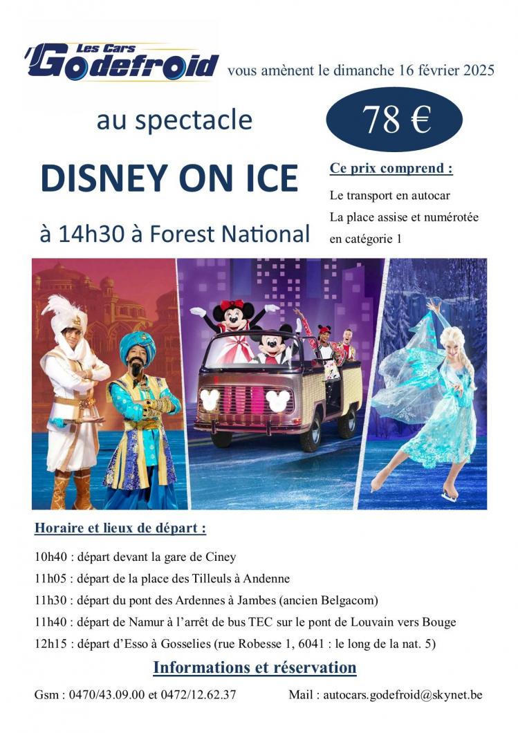 Disney on ice spectacle 16 fev 2025