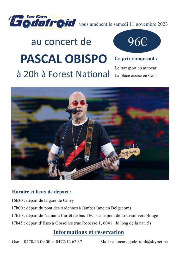 Pascal obispo concert 11 novembre 2024